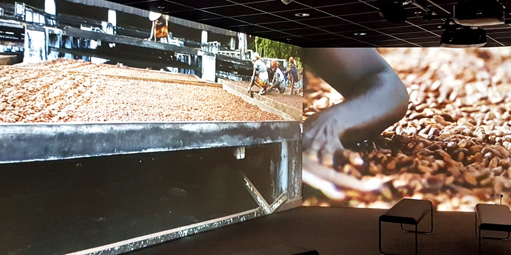 cité-chocolat-valrhona-videmus-immersion-cacahotier-malgache-2016