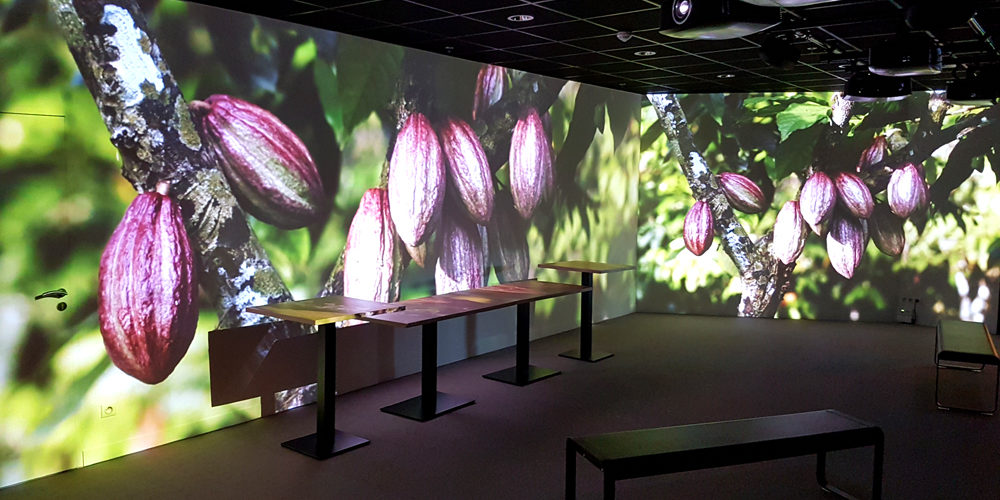 cité-chocolat-valrhona-videmus-salle-immersive-2016