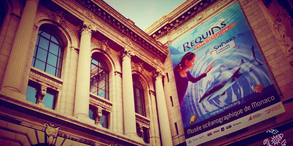 exposition-requins-musée-océanographique-monaco-mom-2013-videmus-watchout-calage-warping