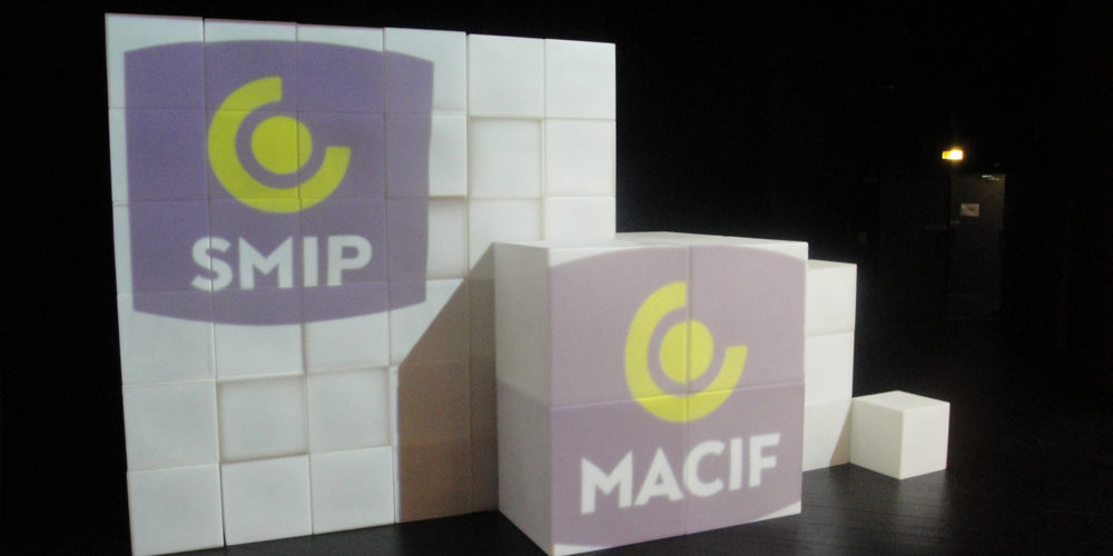 mapping-convention-smip-2012-videmus-Loup_Blanc-watchout-cube-translucides